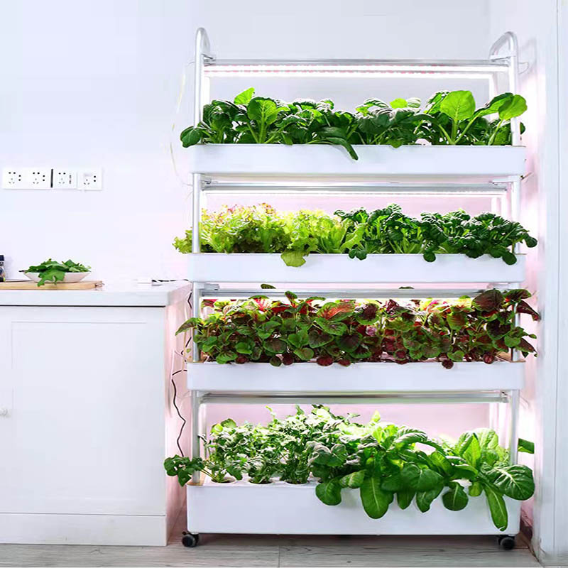 ydroponic plantsysteem Smart H - Smart Home Automation Diy recensie en prijs
