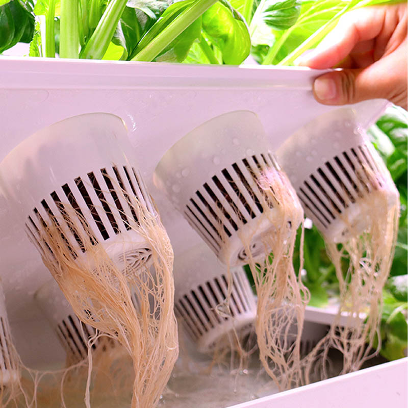 ydroponic plantsysteem Smart H - Smart Home Automation Diy recensie en prijs