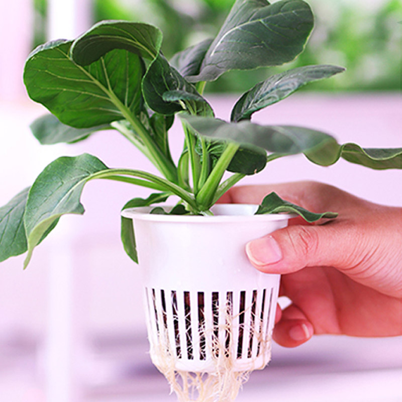 ydroponic plantsysteem Smart H - Smart Home Automation Diy recensie en prijs